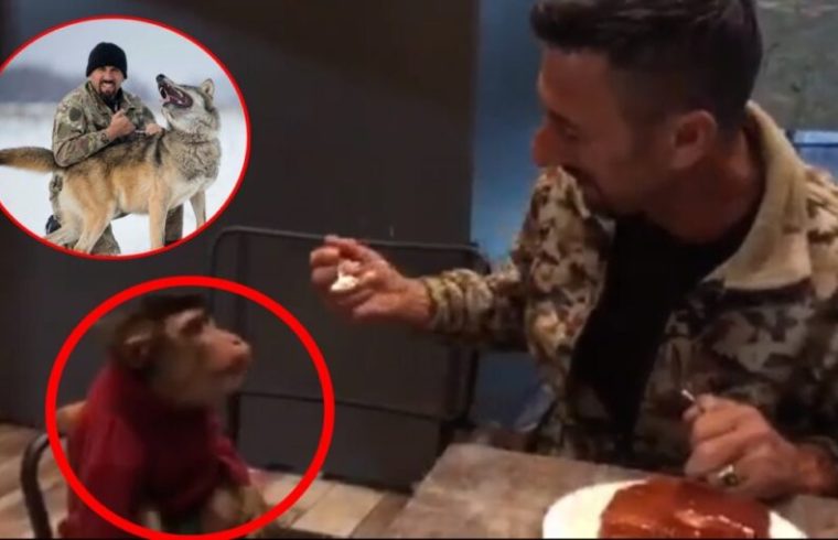 “Haρe gοjën”, Shqiptari e nxjerr majmuηen në restorant e i jep trileçe (VIDEO)