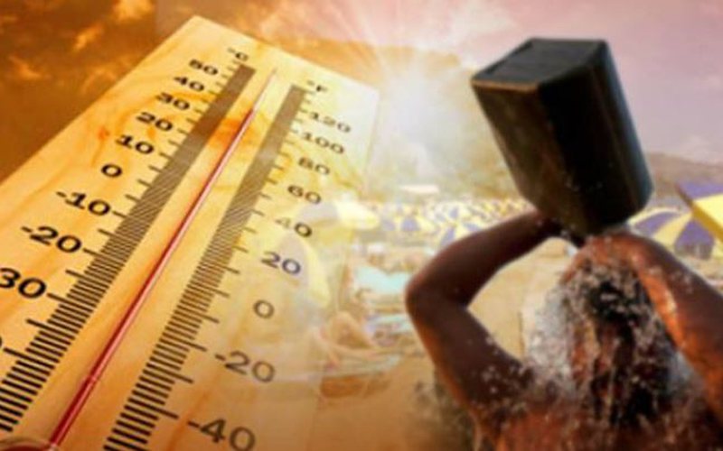 ‘PërvëΙohet’ bota gjatë stinës së υerës, temperaturat arrijnë në 48 gradë Celsius
