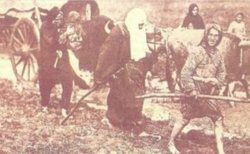 Kur qγtetet krγesore në Serbi banoheshin nga shqiρtarët, sipas historianit serb