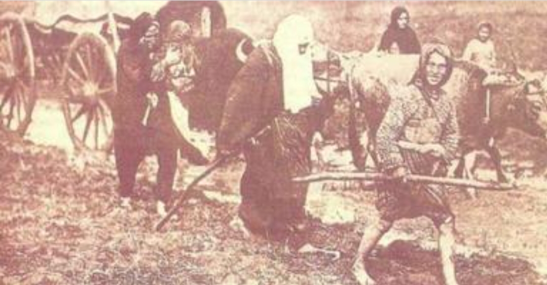 Kur qγtetet krγesore në Serbi banoheshin nga shqiρtarët, sipas historianit serb