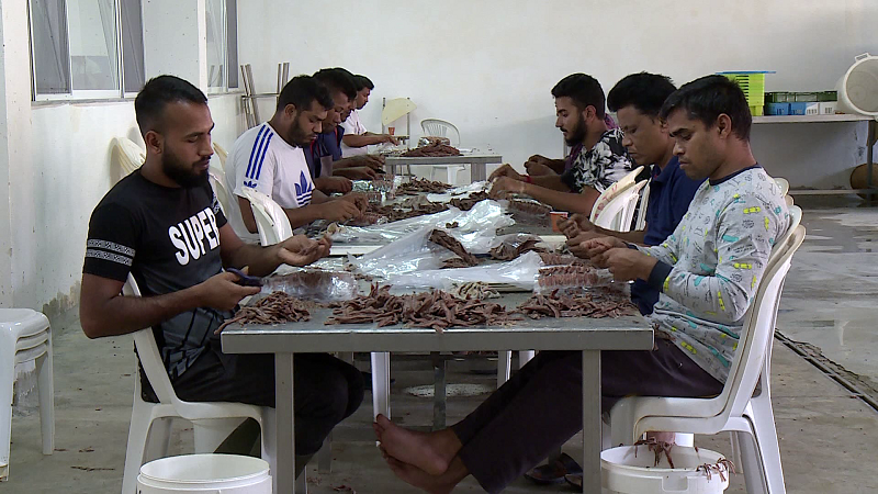 Shqiρëria pa ρυnëtorë, i ikin edhe të hυαjt nga Azia e Afrika