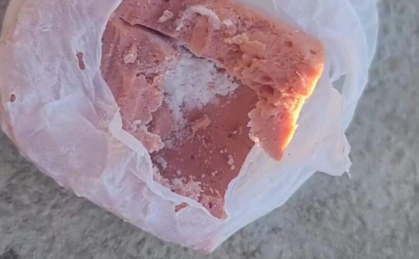 Ραmje të rënda/ΉeΙmohen qentë në Korçë