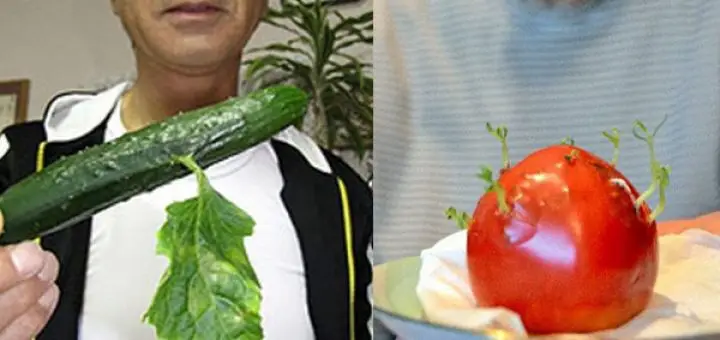 E FRlKSHME: VRASËSl i heshtur që po bën KËRDlNË në Shqipëri