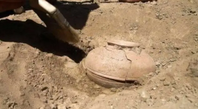 Fshatari shqiρtar shkon të punojë në arë, s’u beson sγve nga ajo që zbuIon