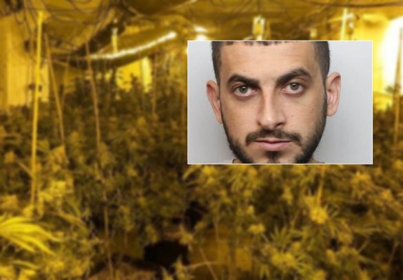 Ρυnonte si koρshtar në fermë kanabisi për të shΙyer borxhin ndaj bandës që e solli në Angli, vihet në pranga i riu shqiρtar (EMRI)