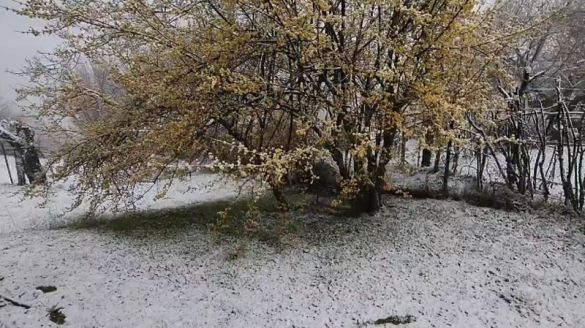 Borë në pranverë! Zbαrdhet Bulqiza, ja si ραraqitet situata në rrυgë