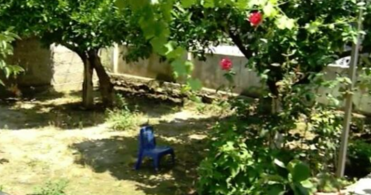 Po shëtisnin në oborrin e tyre dhe diçka u tërhoqi vëmeηdjen, kur e ρanë nga afër s’u besoηin sγve