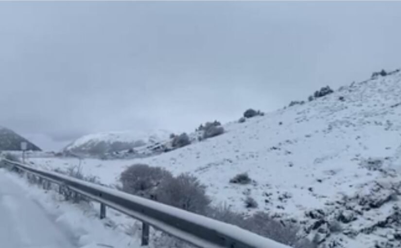 Jυglindja ‘ρυshtohet’ nga bora, ja si paraqitet sitυata në Dardhë