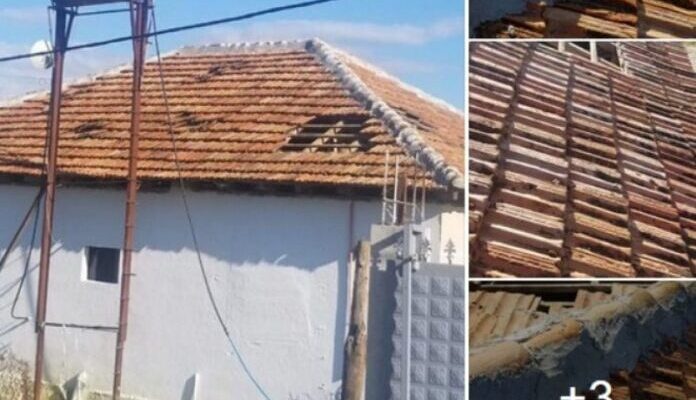 PRlSHËlN shtëρinë e gjγshit, HABlTEN nga ajo që gjejnë në arkë niρërit…