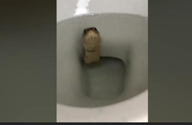 E FRlKSHME, burri uIet në biden e tυaIetit por truIIoset nga ajo që sheh brenda saj