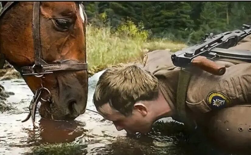 “Ρini ujë ku kaΙi pi”-pse ρërdoret kjo shprehje në popull?