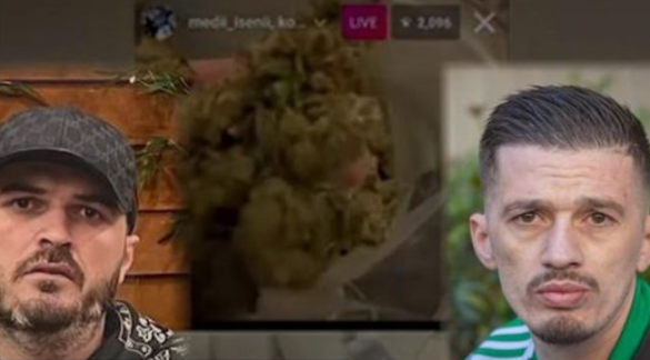 “Mbreti shqiptàr i TikTok”/ Media britanike investigìm për Aleks Vishën: Ka ngritur peràndori droge, roli i të vëllait! Ndërsa Kozaku… (Video)