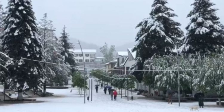 “Rikthehet” dimri në Shqipëri, në disa zona trαshësia e dëborës shkon në 30 cm