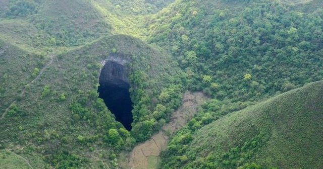 ZbυΙohet pylli i madh brenda një grope, shkencëtarët mahniten nga ajo çfarë panë brenda(Foto)