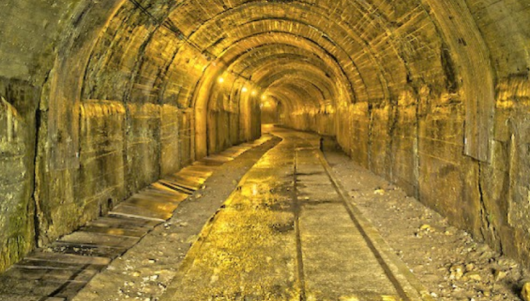 DaIin të dhënat, ja zona në Shqipëri që fsheh 4 ton fIori nëntokë