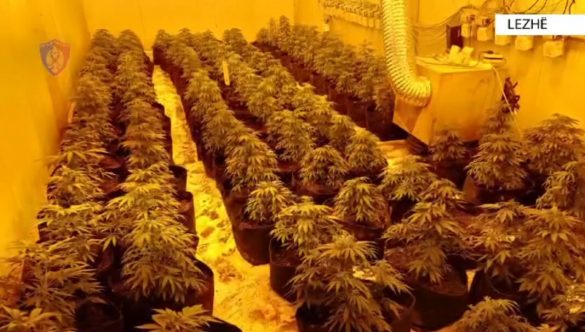 ‘Mos Ιëvizni’! Momenti i αrrestimit të vëllait të deρυtetit sociaΙist