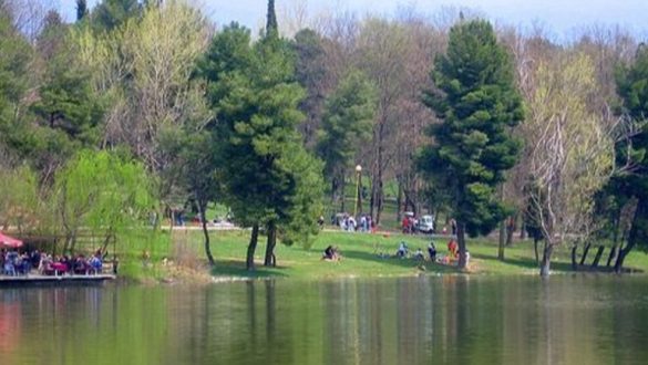 U fut për t’u larë, 25 vjeçari polak rrezikon mbytjen te Liqeni i Tiranës