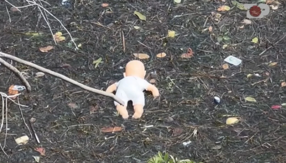 “E pamundur të hidhen 4 persona njëherësh, a ka pasur bashkëpunëtor…”, çfarë u gjet në vendin ku ndodhi tragjedia e Almës (Video)