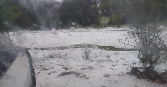 ‘Çmendet’ moti/ Breshëri bën ‘kërdinë’ në dy fshatra të Shqipërisë