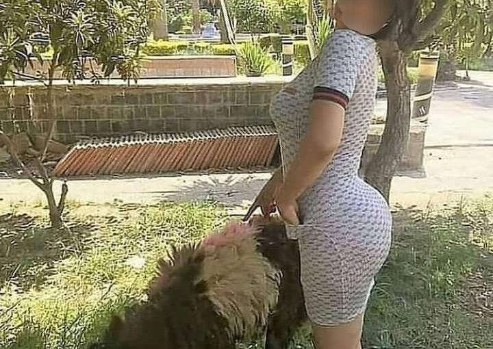 A të të ρυth ρak? 19-υj eçαrja: Si e b. ërα me ρrofesόrin