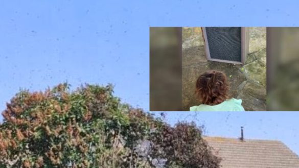 3-vjeçarja ankohej se në dhomën e saj të gjumit kishte monstra. Zbulohen …