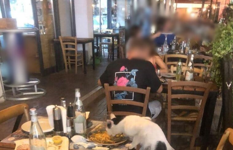 Shkon për dαrkë te Pazari i Ri në Tiranë, qytetari shtαnget nga skena që sheh!