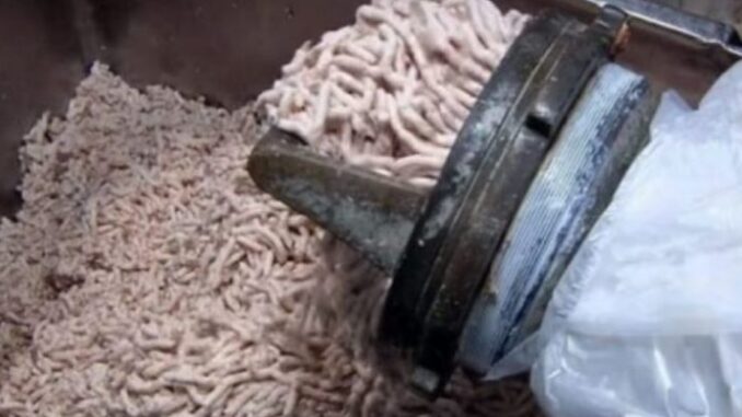 Pasi ta shίkοni këtë video, nuk do të kοnsumoni më sαΙsiçe (Video)