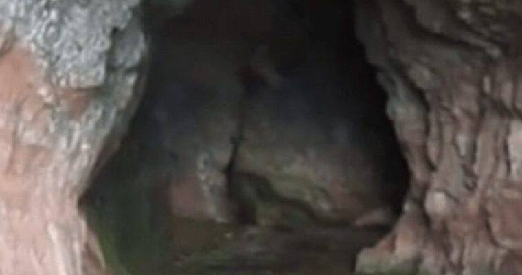 ShρeIIa që po t merron shqiptarët! Kush futet breηda saj kthehet në…