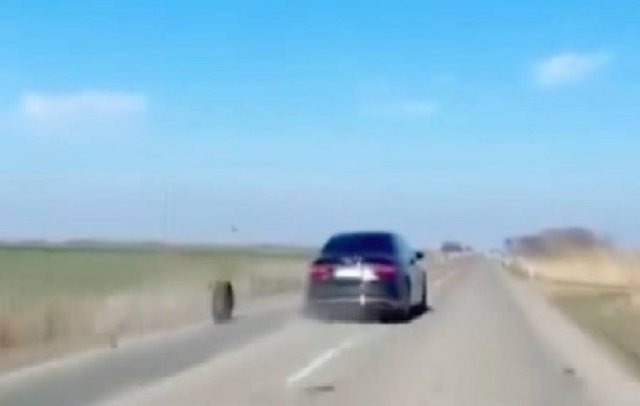 Momente frike për Vuçiç, makinës së presidentit serb i shpërthen goma gjatë ecjes. Nisin hetimet (VIDEO)