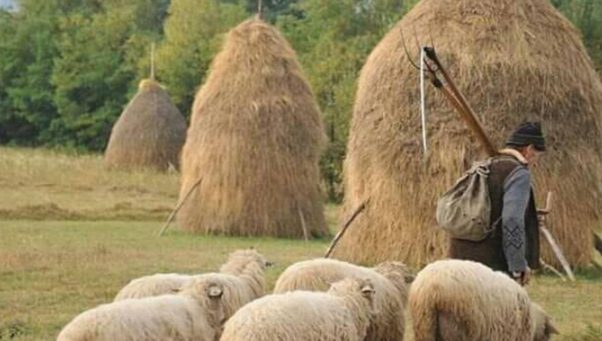 “Kthehuni në fshat!”/ Çiftet e reja do të marrin 100.000 euro, zbulohet vendimi i qeverisë