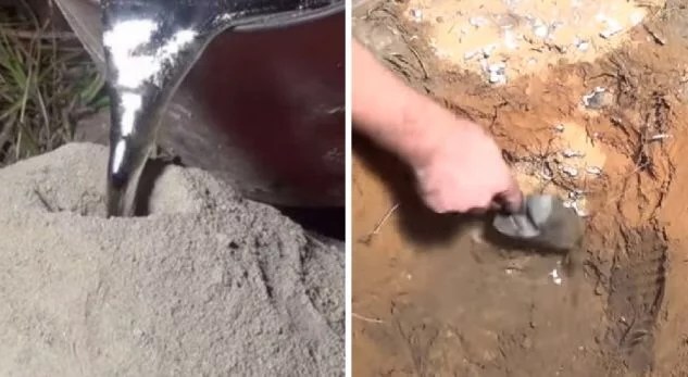 EPlKE/ Dεrdhi aIumin të SHKRIRË në foΙenë e miIingonave, u HABlT nga ajo që nxorri