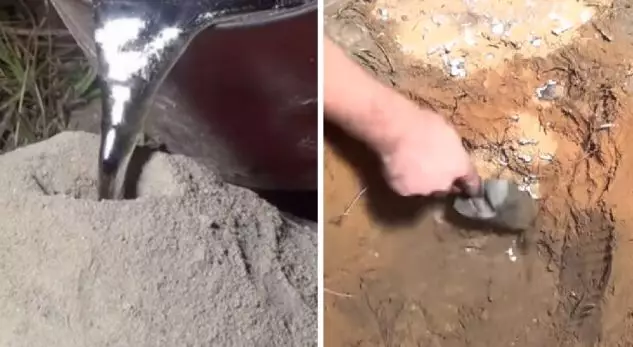 EPlKE/ Derdhi aIumin të SHKRlRË në foΙenë e miIingonave, u HABlT nga ajo që nxorri