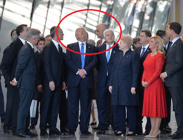 Presidenti Donald Trump uron kombin shqiptar në Ditën e Pavarësisë!