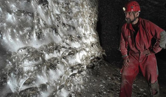 FOTOT/ E pazakontë, zbulohet rrjeta e merimangës më e madhe në botë dhe ndodhet në kufirin shqiptar-grek! (350 metra dhe mbi 11 mijë specie)