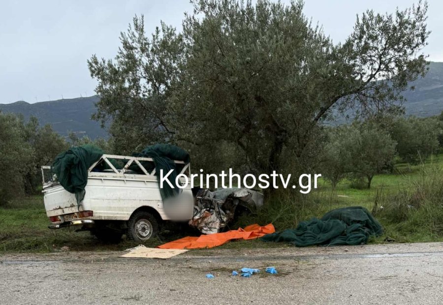 Ishin duke vjel ullinj, tr*gjedi në Greqi: Zetori përpl*set me pemën, një i vd*kur dhe dy të pl*gosur rëndë