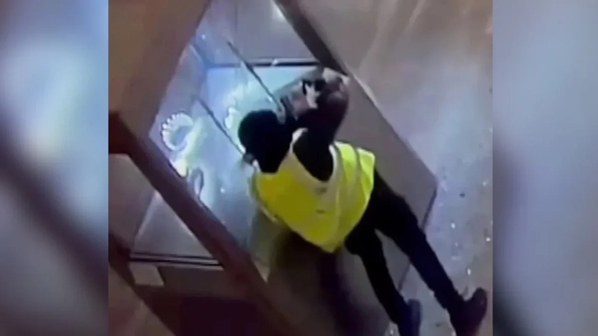 VIDEO/ Grabitja spektakolare në muzeun e Luvrit, publikohen pamjet e vjedhjes së bizhuterive të çmuara