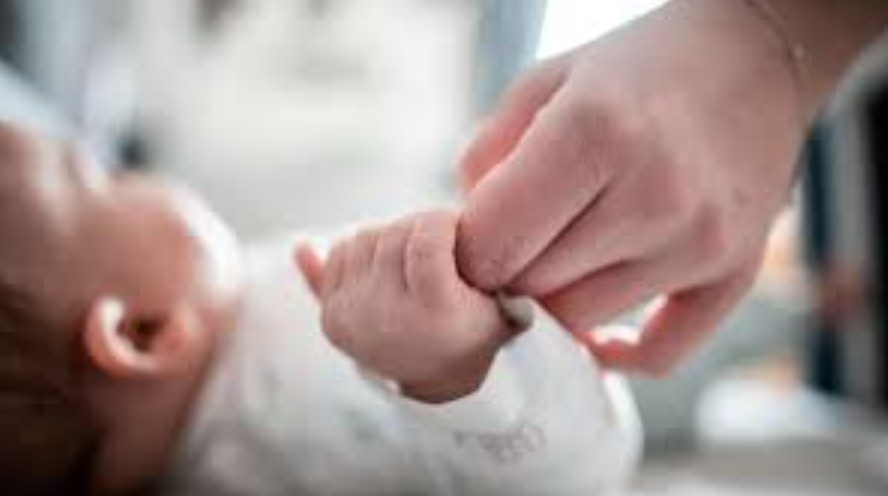 Skema e re/ Jo bonus vetëm kur lind, por pagesa të përmuajshme për 5 vite