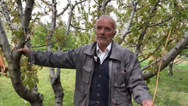 ‘Gruaja bën ligjin’, Osman Kaçuli rrëfen jetën me Selimen: 50 vite bashkë! Fukarallëku na largoi 9 fëmijët