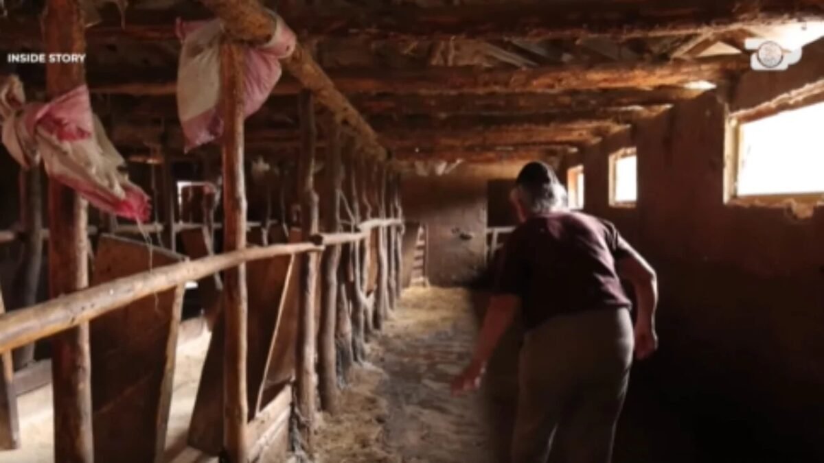 “I pashë poIicët nga mali dhe i thashë djalit erdhën”/ Dëshmon nëna e Braçellarit: Ja si u vra efektivi Mekolli! Ja dëshmitë e kolegëve (Video)
